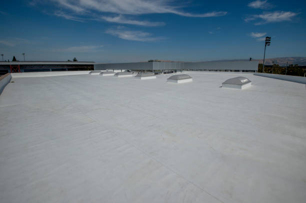 Best Flat Roofing  in Merkel, TX